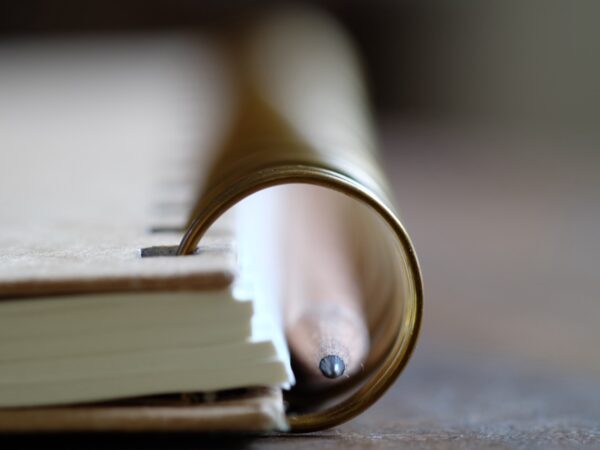 Appendice della tesi: come farla correttamente