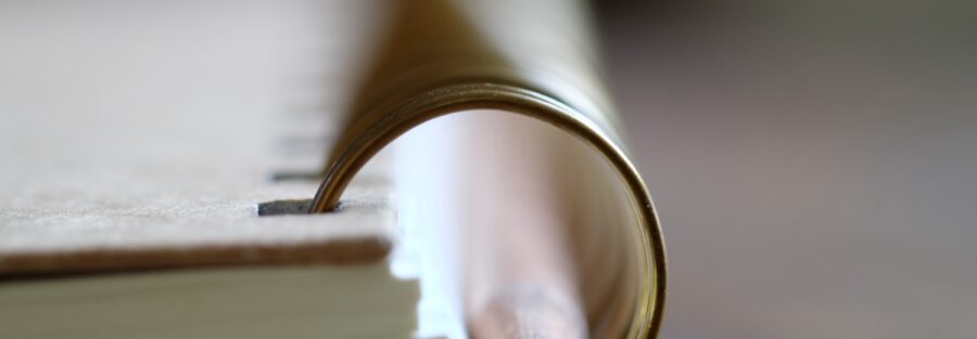 Appendice della tesi: come farla correttamente
