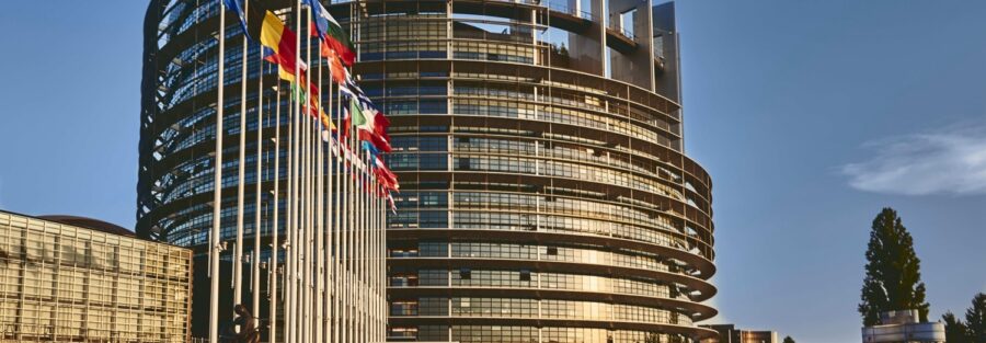 Tesi in diritto dell’Unione europea: argomenti e struttura