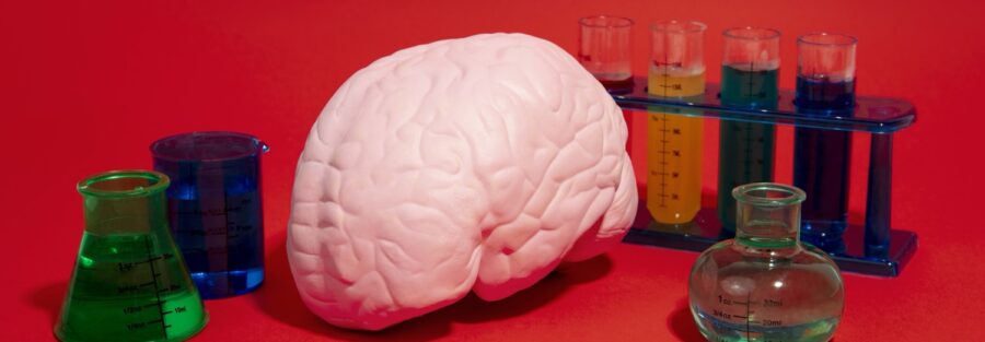 Tesi in neuropsicologia: argomenti e idee per la laurea